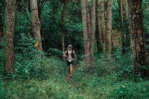 BIB: 
                            <button type="button" onclick="openModal(25237901)" class="btn btn-primary btn-sm float-right btn-popup" data-toggle="modal" data-target=".modal-high-quality">
                        <i class="fas fa-shopping-cart"></i> Add to Cart
                    </button>
                                            <button type="button" onclick="isThisMe(25237901, true)" class="btn btn-success btn-sm float-right btn-popup btn-isme hidden" data-toggle="tooltip" data-placement="bottom" title="นี่คือรูปของคุณใช่ไหม คลิกที่นี่เพื่อเอาเข้าอัลบั้ม">
                        <i class="fas fa-plus"></i> Add to album
                    </button>
                    <button type="button" onclick="isThisMe(25237901, false)" class="btn btn-warning btn-sm float-right btn-popup btn-isnotme hidden">
                        <i class="fas fa-ban"></i> Remove from album
                    </button>